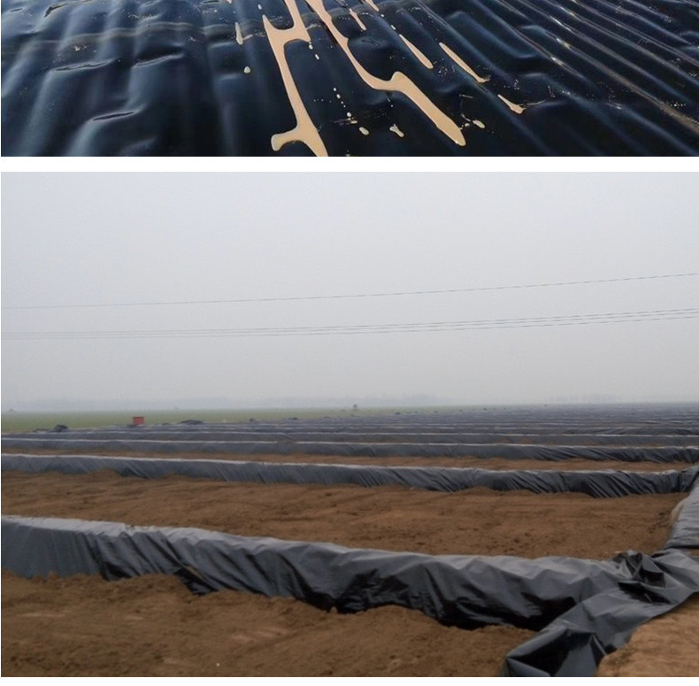 1618538036760881.jpg 14.jpg